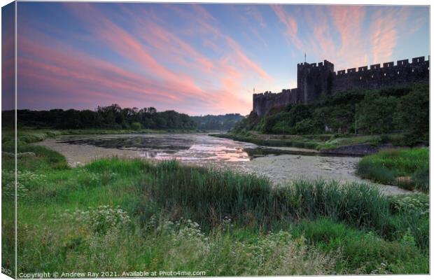 Pembroke Castle and millpond at sunrise Canvas Print by Andrew Ray