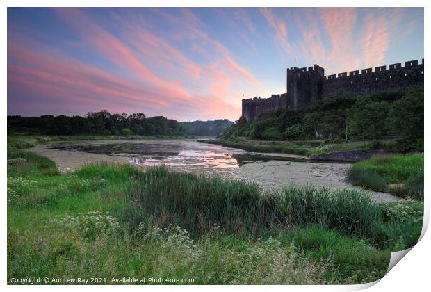 Pembroke Castle and millpond at sunrise Print by Andrew Ray