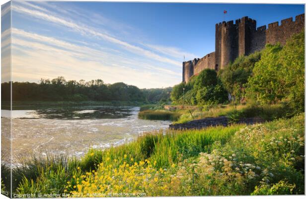 Summer evening at Pembroke Castle Canvas Print by Andrew Ray