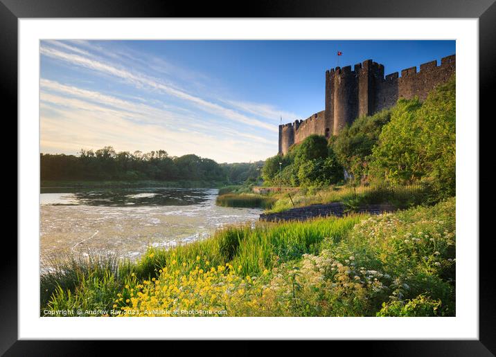 Summer evening at Pembroke Castle Framed Mounted Print by Andrew Ray