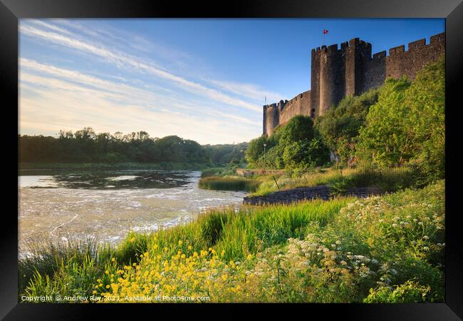 Summer evening at Pembroke Castle Framed Print by Andrew Ray