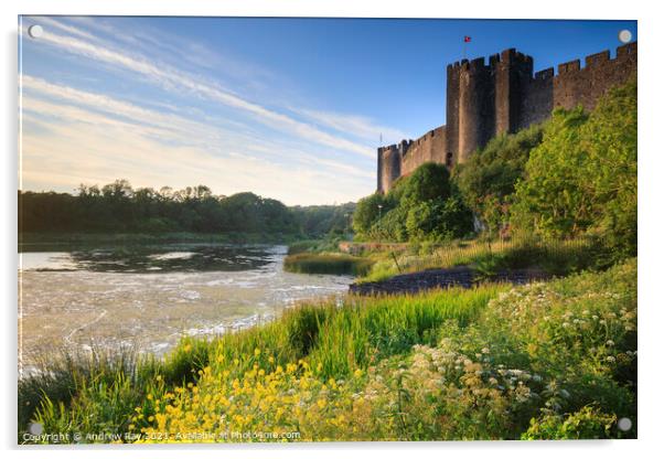 Summer evening at Pembroke Castle Acrylic by Andrew Ray