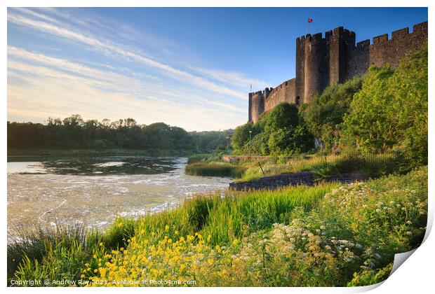 Summer evening at Pembroke Castle Print by Andrew Ray
