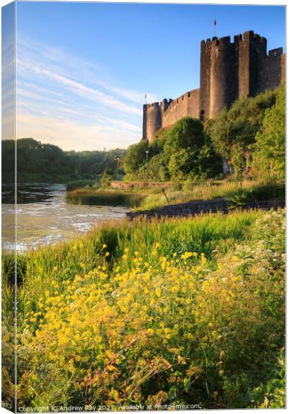 Summer at Pembroke Castle  Canvas Print by Andrew Ray