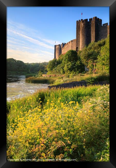 Summer at Pembroke Castle  Framed Print by Andrew Ray