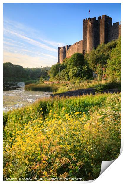 Summer at Pembroke Castle  Print by Andrew Ray