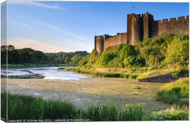 Evening light at Pembroke Castle Canvas Print by Andrew Ray