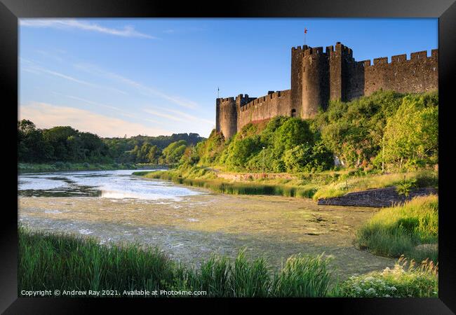 Evening light at Pembroke Castle Framed Print by Andrew Ray
