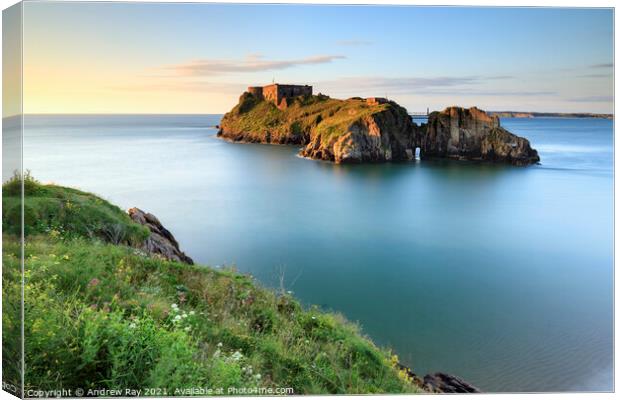 Cliff View (St Catherines's Island, Tenby)  Canvas Print by Andrew Ray