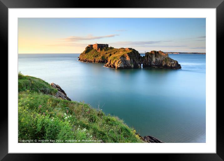 Cliff View (St Catherines's Island, Tenby)  Framed Mounted Print by Andrew Ray