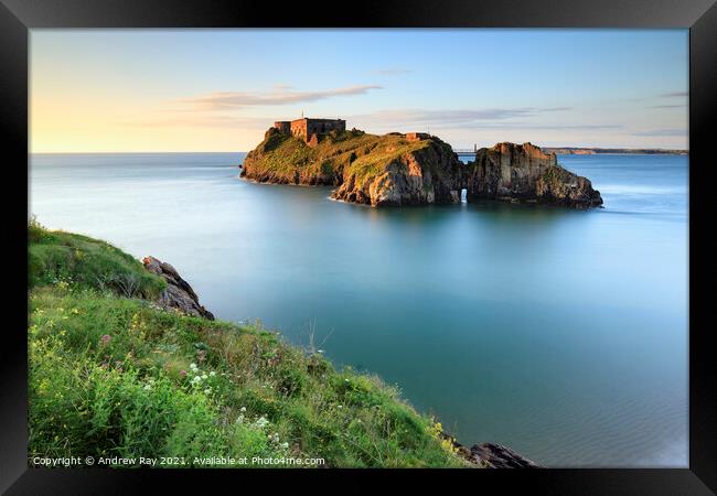 Cliff View (St Catherines's Island, Tenby)  Framed Print by Andrew Ray