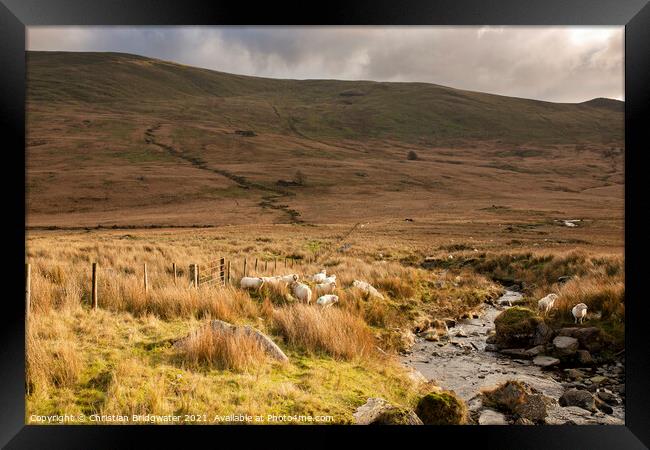 Dyffryn Mymbyr valley 2 Framed Print by Christian Bridgwater