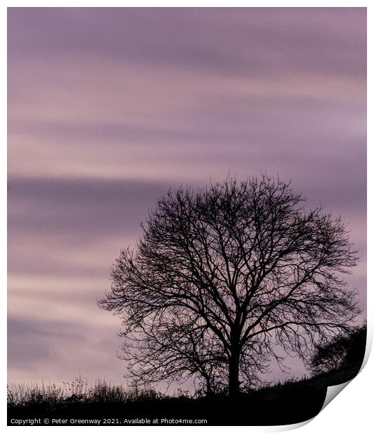 The Silhouette Of A Lone Bare During Winter In Rural Oxfordshire Print by Peter Greenway