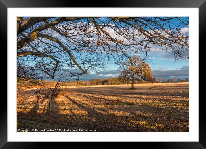 Winter Sun and Shadows at Wycliffe Framed Mounted Print by Richard Laidler