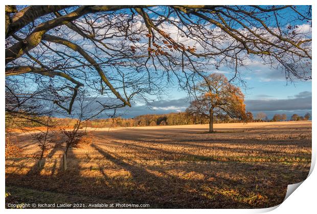 Winter Sun and Shadows at Wycliffe Print by Richard Laidler