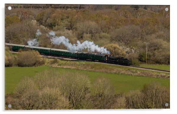 Swanage steam train Acrylic by Stuart C Clarke