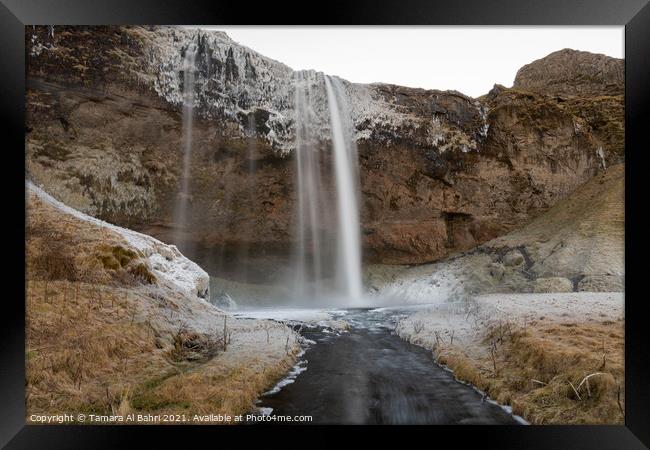 Seljalandsfoss Waterfall, Iceland Framed Print by Tamara Al Bahri
