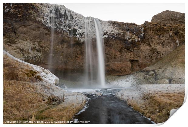 Seljalandsfoss Waterfall, Iceland Print by Tamara Al Bahri