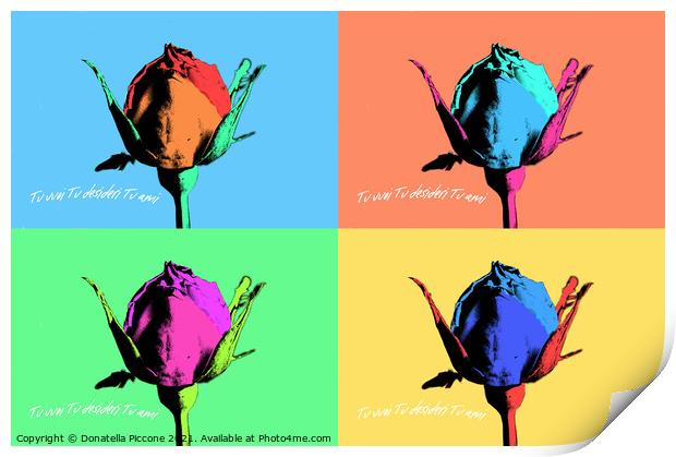 Four coloured rosebuds, boccioli di rosa colorati Print by Donatella Piccone