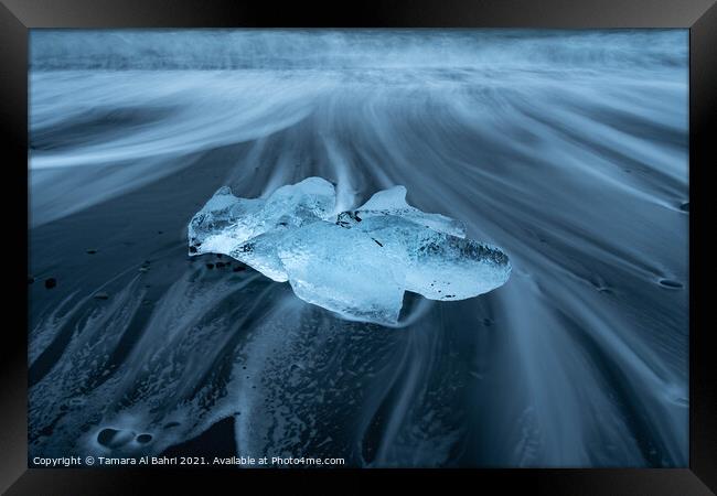 Diamond Beach Iceberg, Iceland Framed Print by Tamara Al Bahri