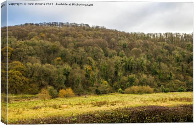 People on the Wye Valley walk near Tintern Parva  Canvas Print by Nick Jenkins