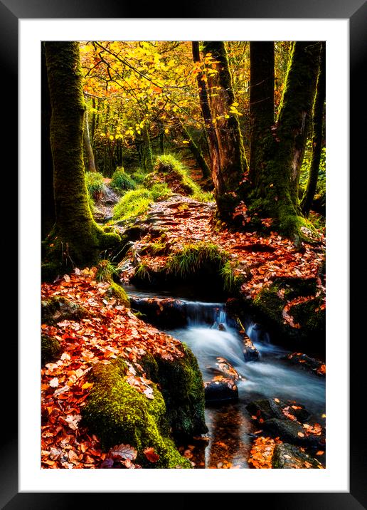 Golitha Falls, Cornwall Framed Mounted Print by Maggie McCall