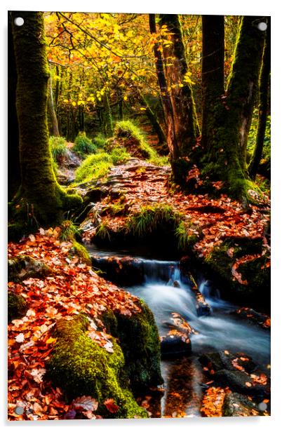 Golitha Falls, Cornwall Acrylic by Maggie McCall