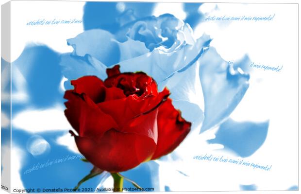 Red rose with blue petals, rosa rossa con petali blu Canvas Print by Donatella Piccone