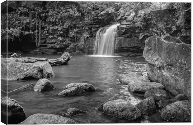 Thomason Foss in Black and white Canvas Print by Kevin Winter