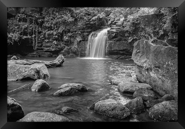 Thomason Foss in Black and white Framed Print by Kevin Winter