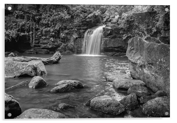 Thomason Foss in Black and white Acrylic by Kevin Winter