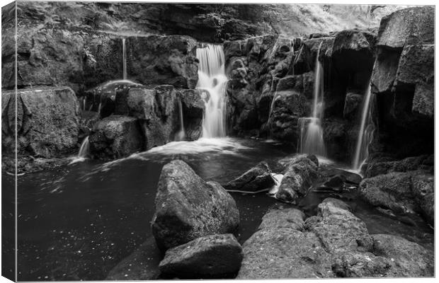 nelly Ayre Foss in black and white Canvas Print by Kevin Winter