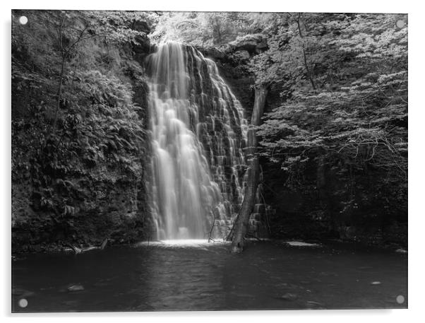 Falling Foss in black and white Acrylic by Kevin Winter