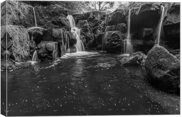 Nelly Ayre Foss in black and white Canvas Print by Kevin Winter