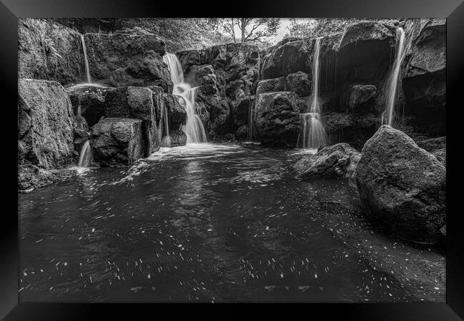Nelly Ayre Foss in black and white Framed Print by Kevin Winter