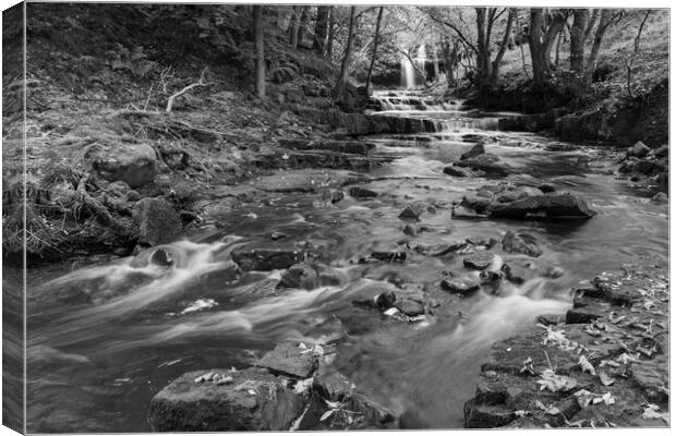 Summerhill force in Black and White Canvas Print by Kevin Winter