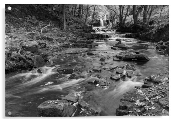 Summerhill force in Black and White Acrylic by Kevin Winter