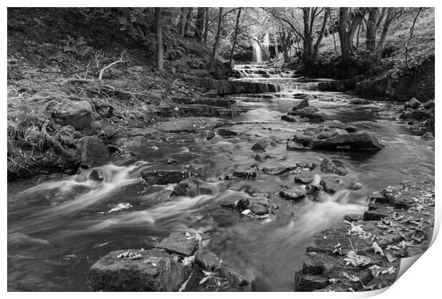 Summerhill force in Black and White Print by Kevin Winter