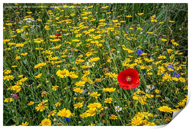 Vibrant Wildflower Meadow Print by Derek Daniel