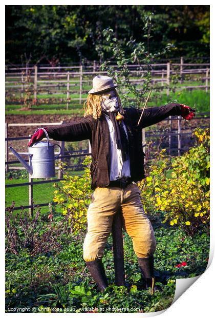Scarecrow Print by Chris Rose