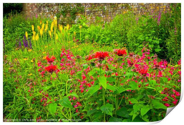 Colouful summer garden border Print by Chris Rose