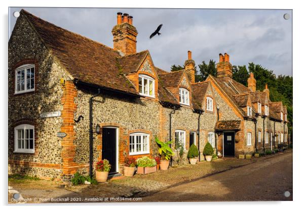 Red Kite over English Village Bucks Acrylic by Pearl Bucknall