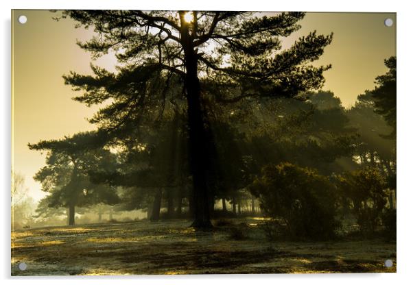 Tree in the Mist Acrylic by Elzbieta Sosnowski