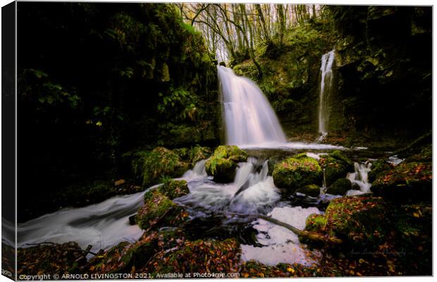 Sloughan Glen waterfall Drumquin Northern Ireland Canvas Print by Arnie Livingston