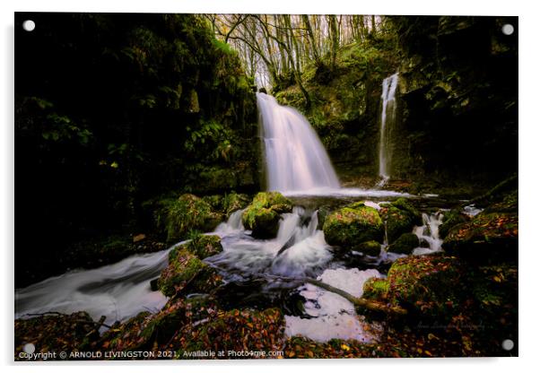 Sloughan Glen waterfall Drumquin Northern Ireland Acrylic by Arnie Livingston