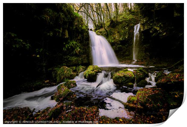 Sloughan Glen waterfall Drumquin Northern Ireland Print by Arnie Livingston