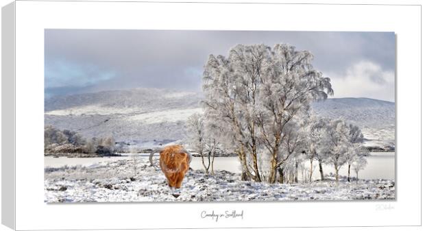 Coosday in Scotland Canvas Print by JC studios LRPS ARPS