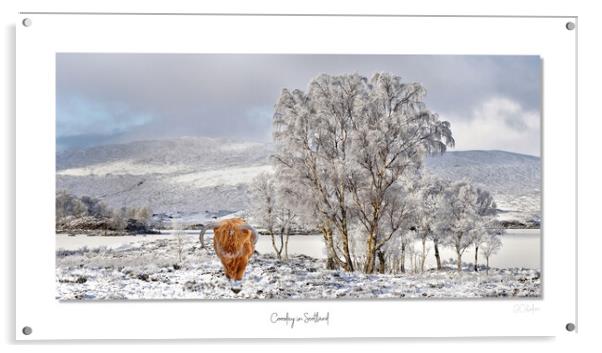 Coosday in Scotland Acrylic by JC studios LRPS ARPS