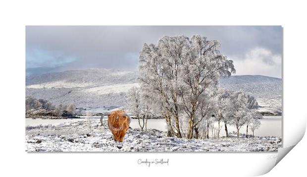 Coosday in Scotland Print by JC studios LRPS ARPS