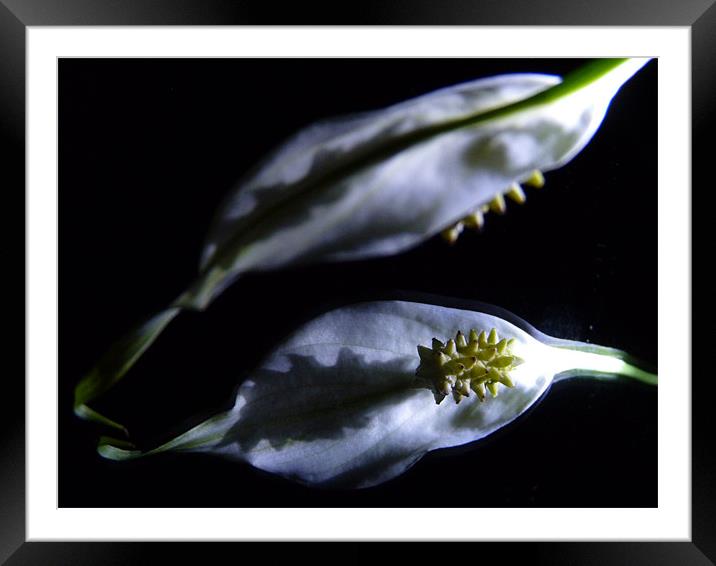 Peace at Night Framed Mounted Print by Hannah Scriven